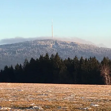 Lägenhet Geraeumige Inmitten Der